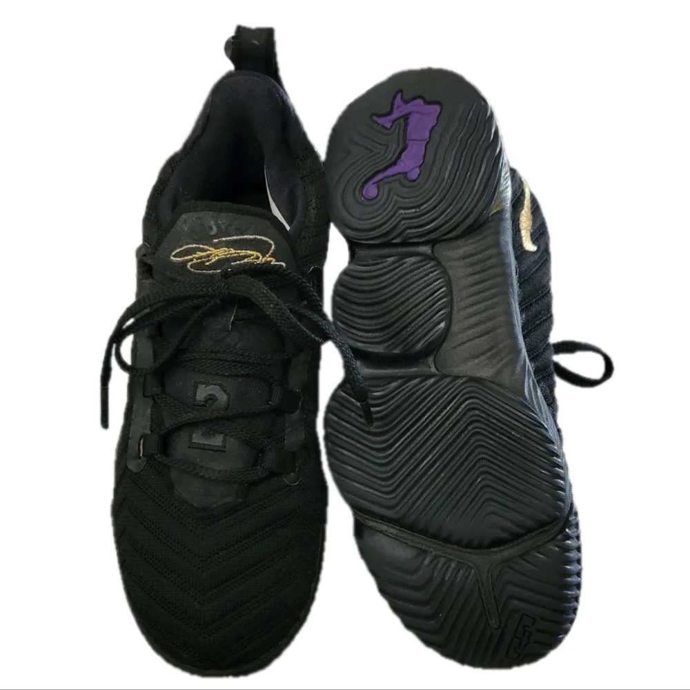 Nike Lebron James 16 XVI 